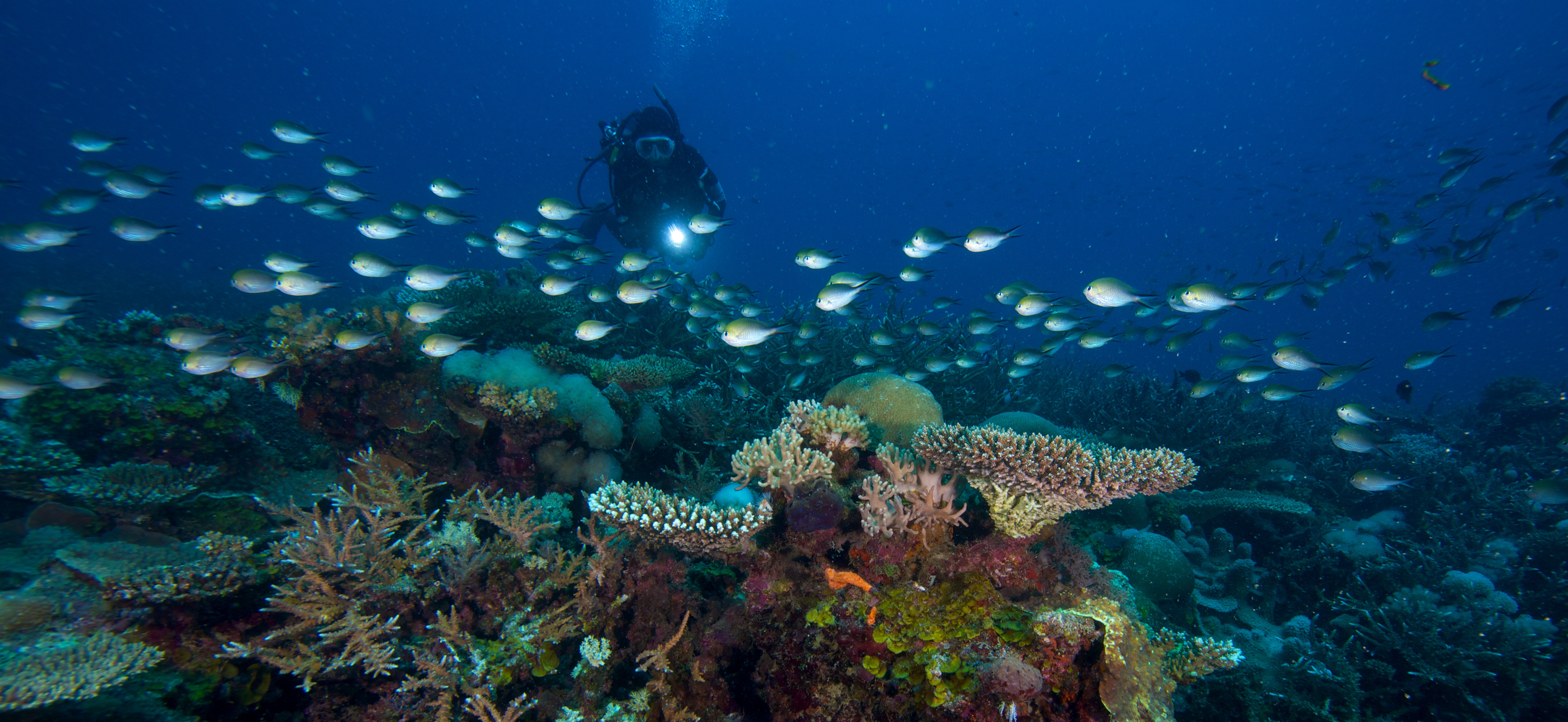 IBO & MEDJUMBE ISLAND PARADISE