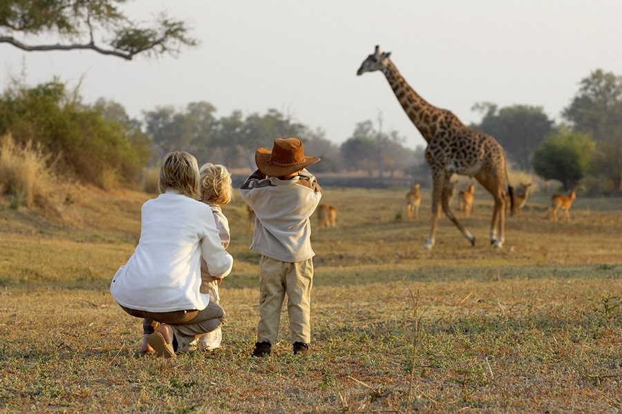 South Luangwa safari, Zambia