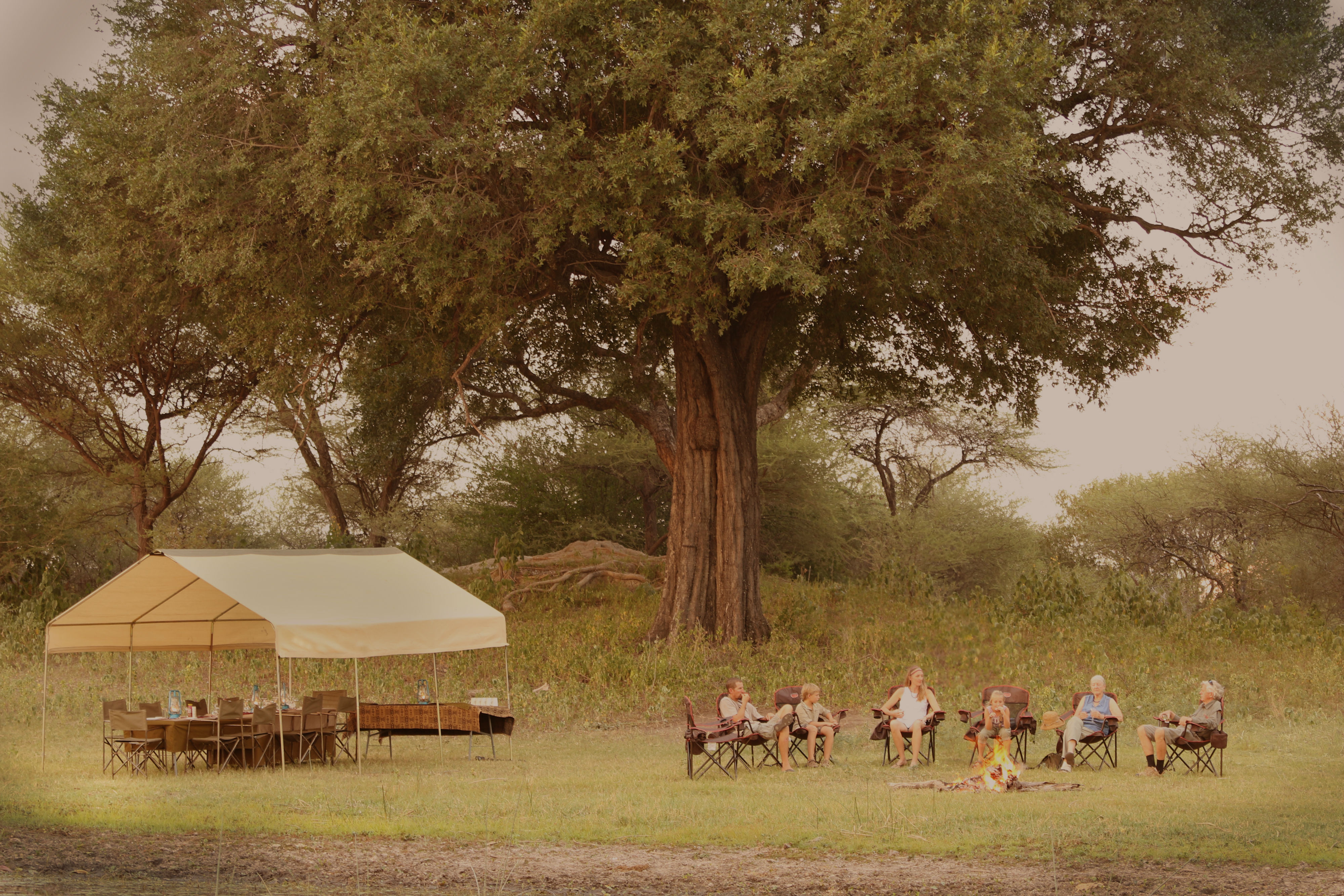 MOBILE SAFARIS