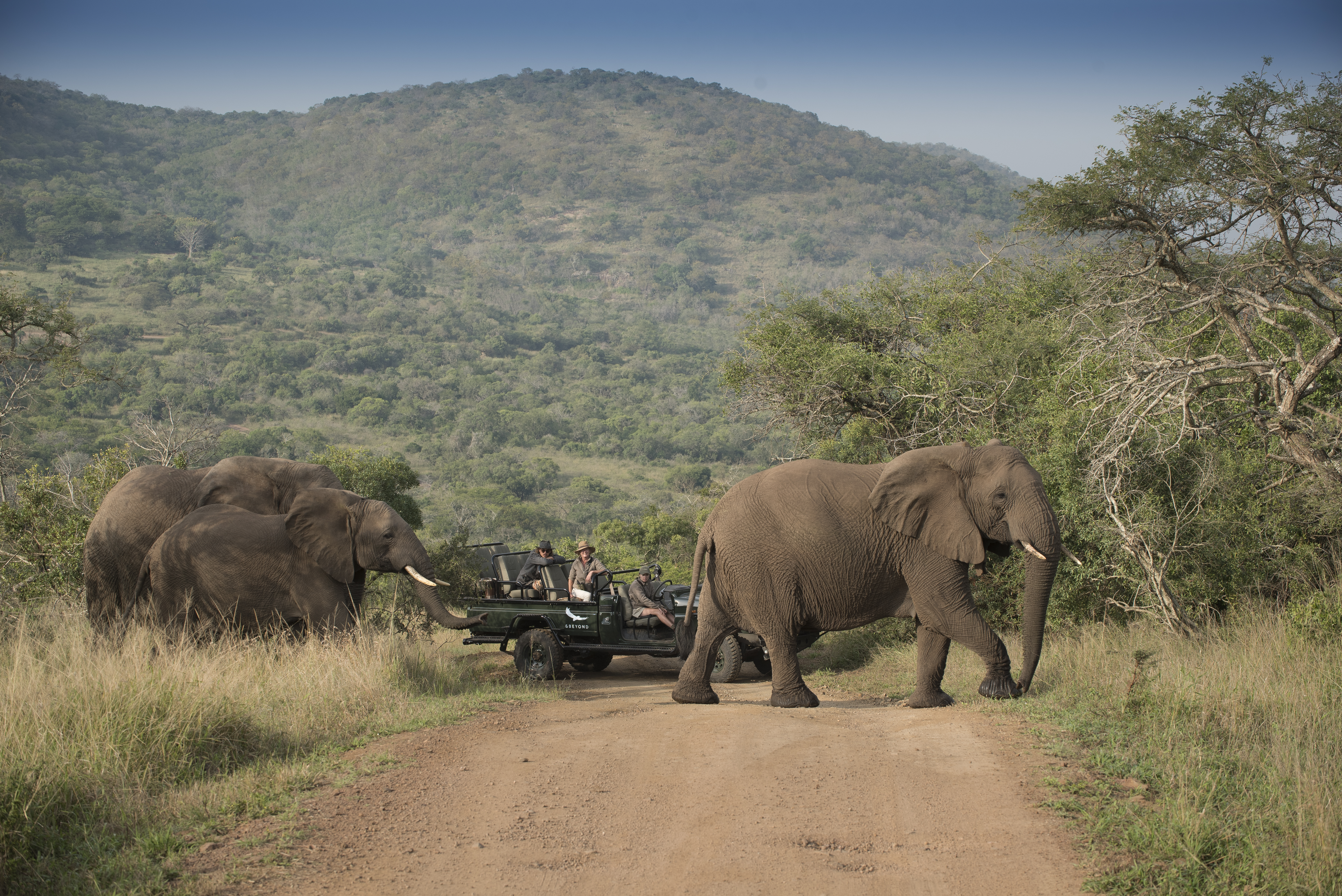 SOUTH AFRICA BUSH AND BEACH SAFARI