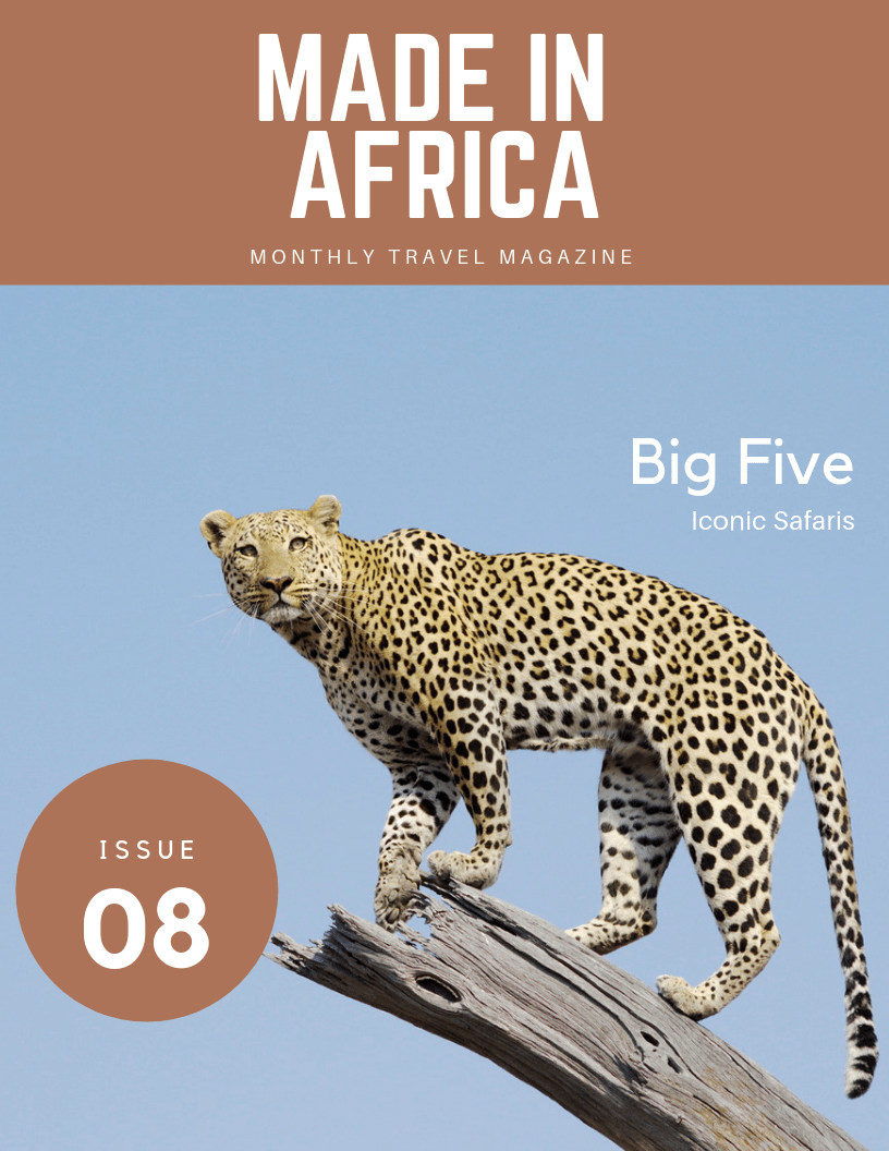 Big Five Safari Travel Guide