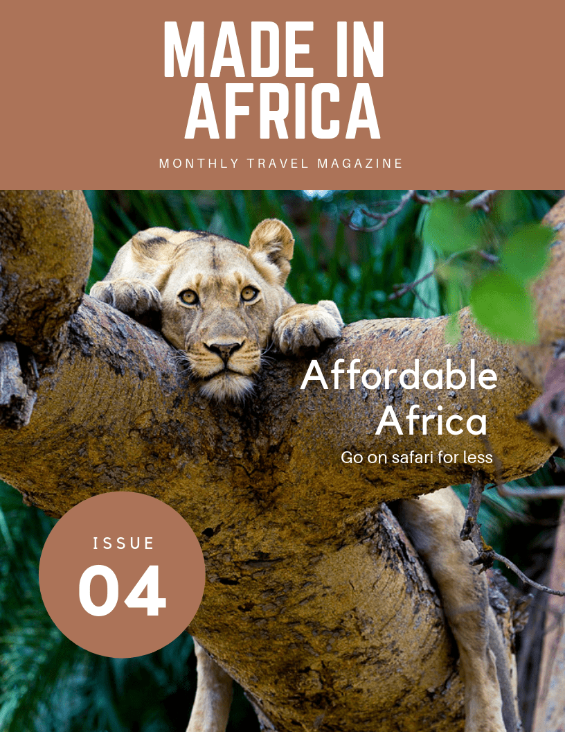 Budget-Friendly African Safari Travel Guide