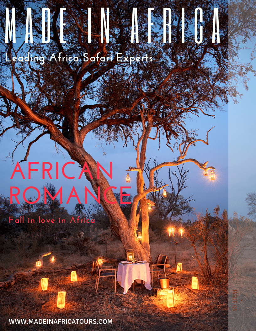 Africa Safari Travel Magazines