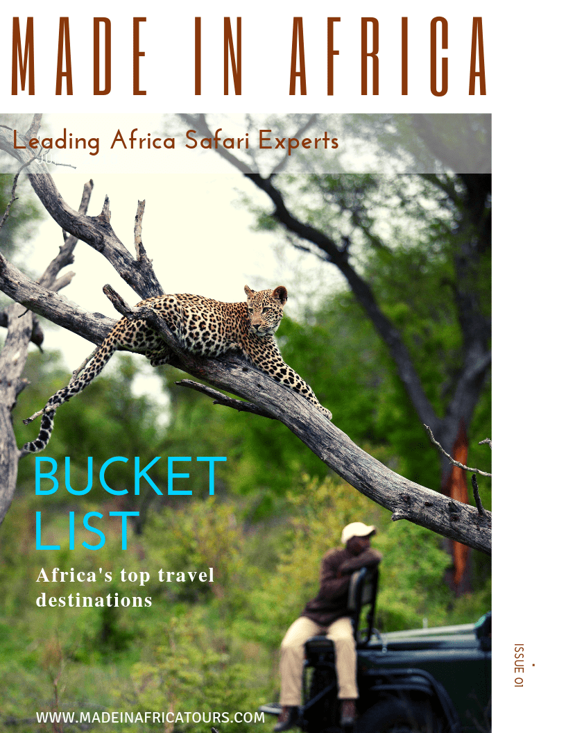 Bucket List Africa Safari Guide