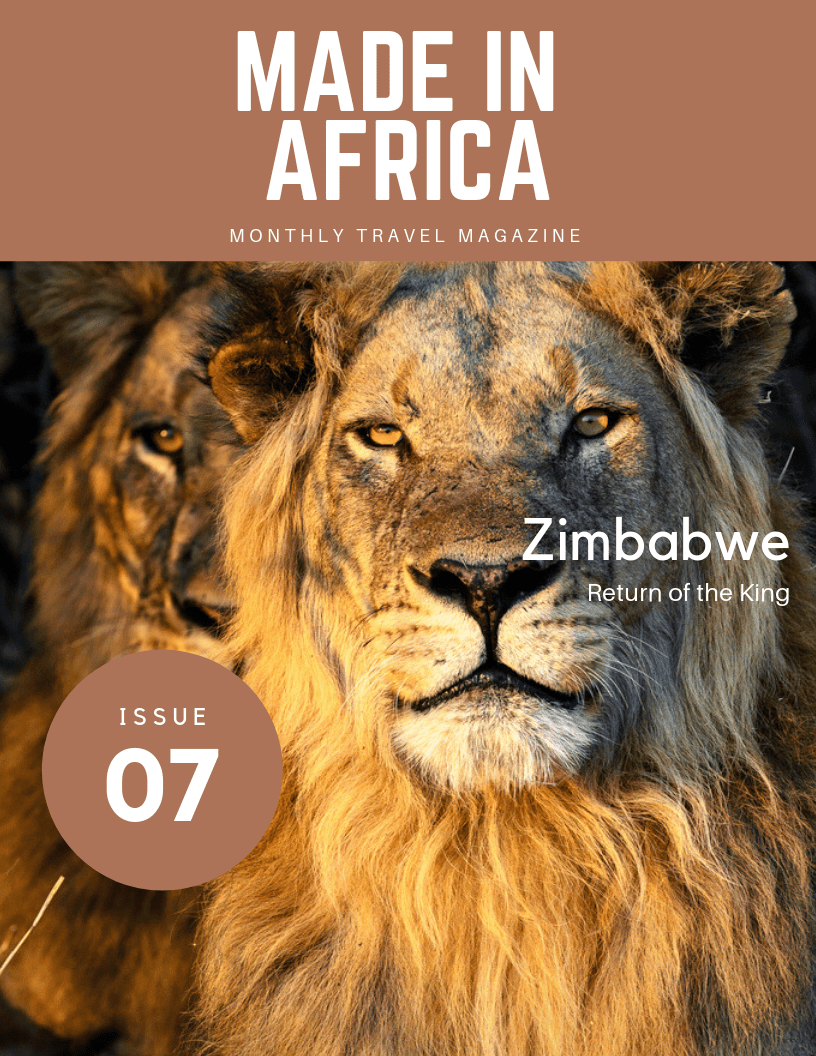 Zimbabwe Safaris Travel Guide