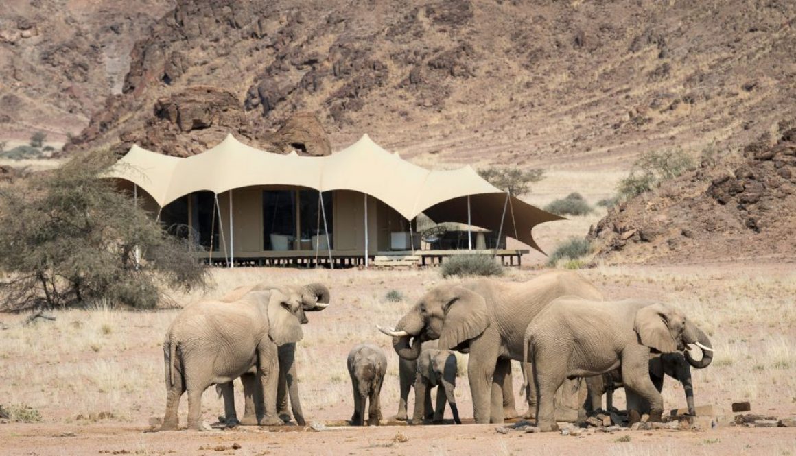 Hoanib Skeleton Coast Camp, Elephant