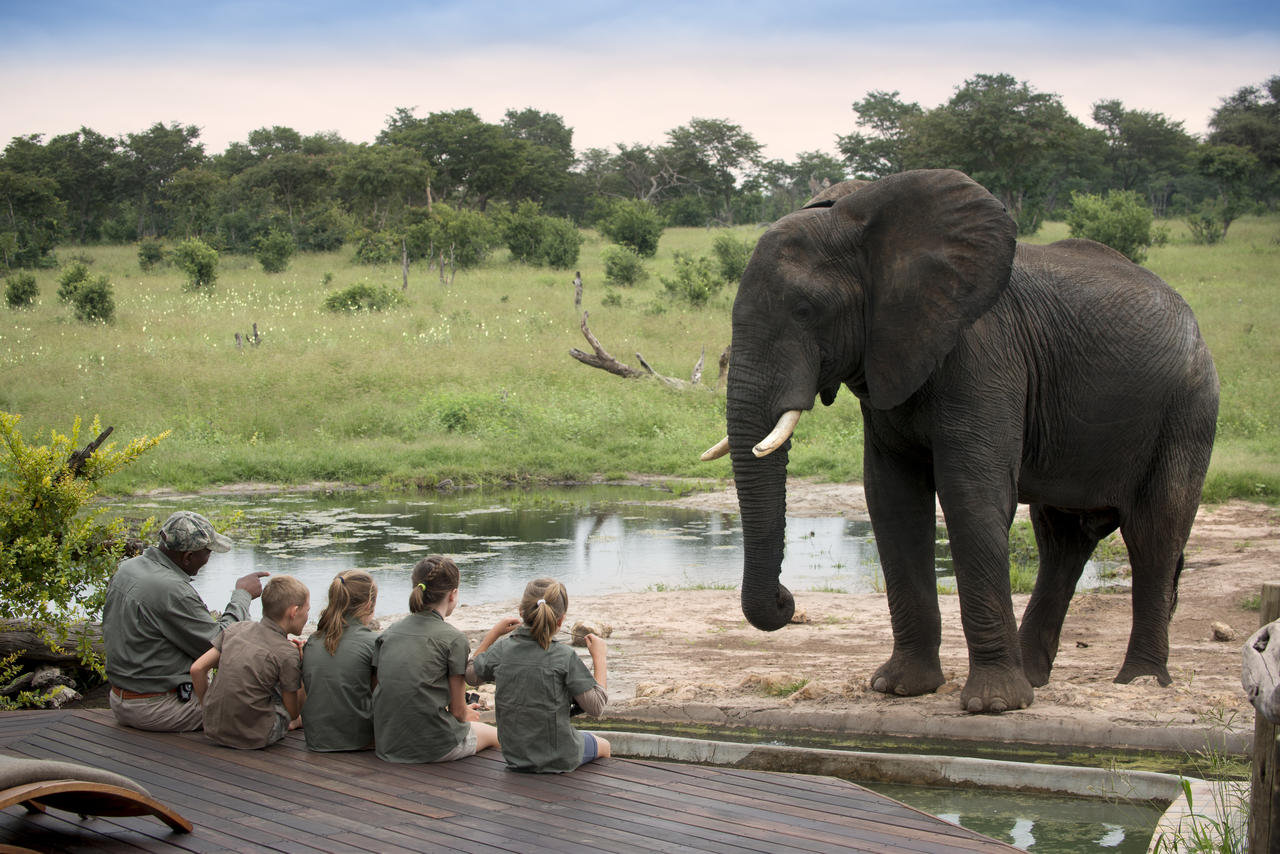 Family safari, Zimbabwe3