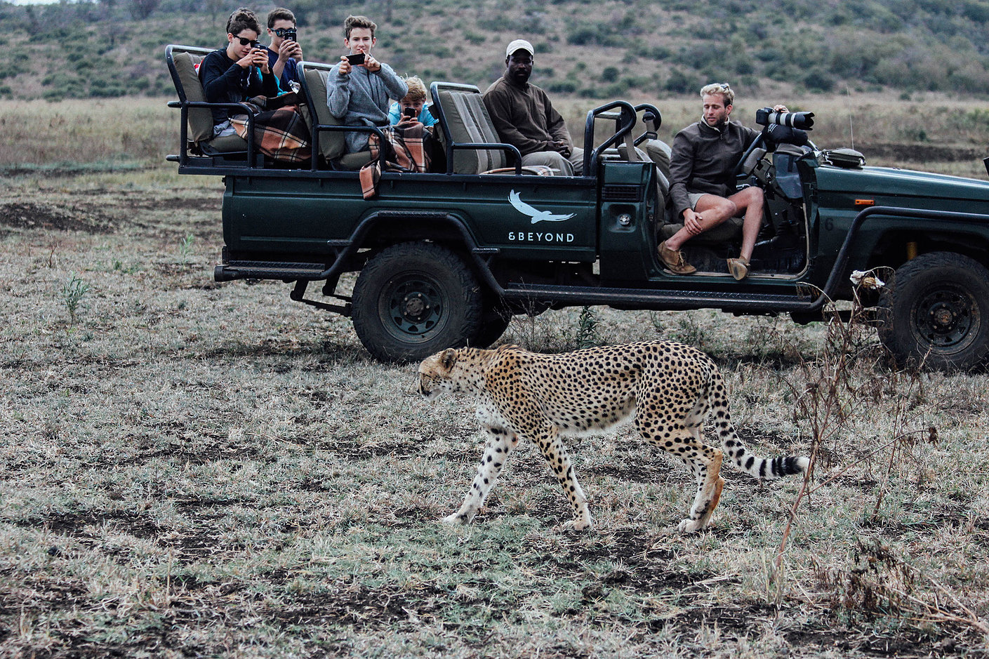 Phindi Mountain Lodge, game viewing2