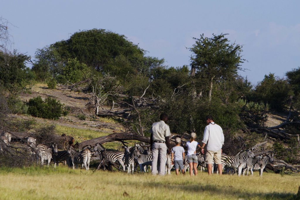 Made in Africa Tours & Safaris - Botswana Family Lodge Safari - Makgadikgadi Pan Game Walk with Kids