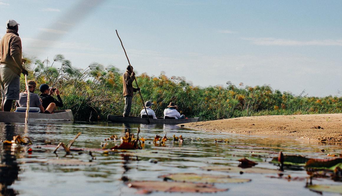 Okavango delta safari9