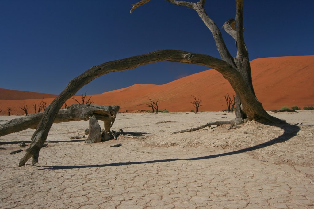 Deadvlei - Cape to Vic Falls Adventure Safari