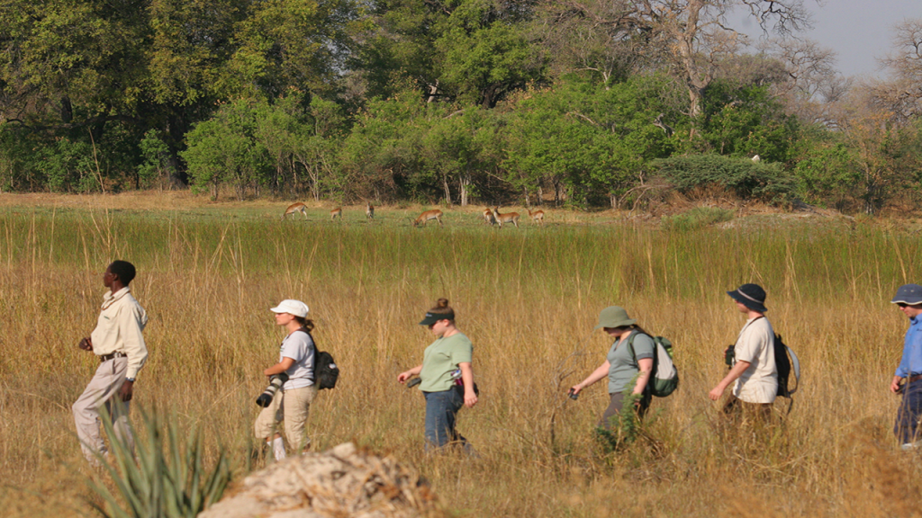 Botswana-Roundabout---Okavango-Delta-guided-game-walk