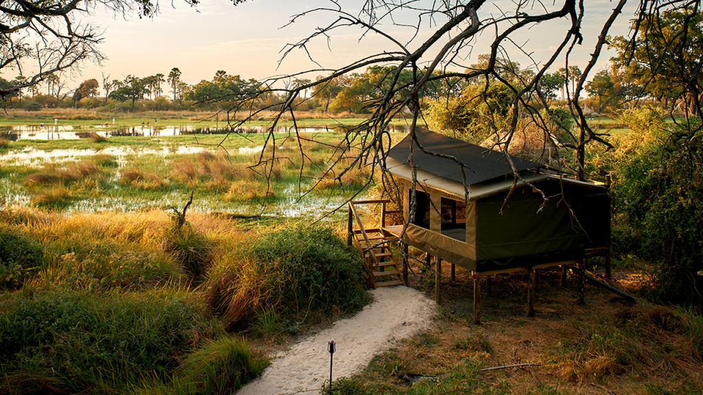 Botswana-Family-Adventure-Safari---Oddballs-Camp-Tent