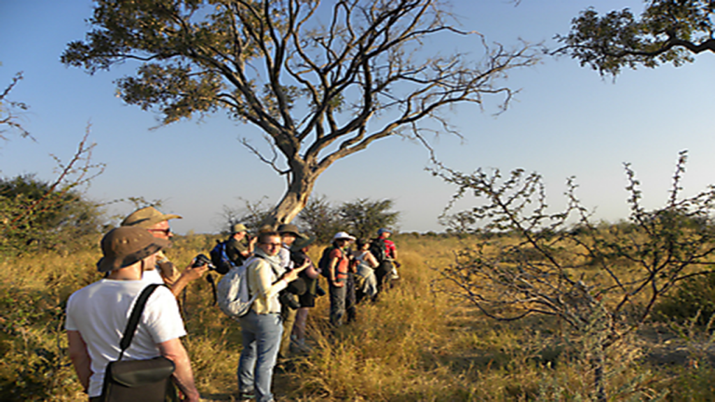 Zimbabwe-&-Botswana-Camping-Safari---Okavango-Delta-Game-Walk