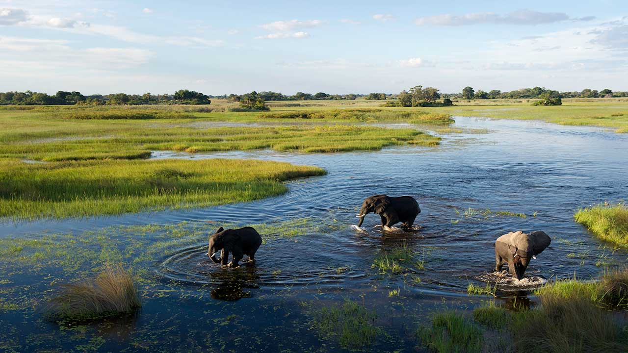 Okavango-Delta-floodplain