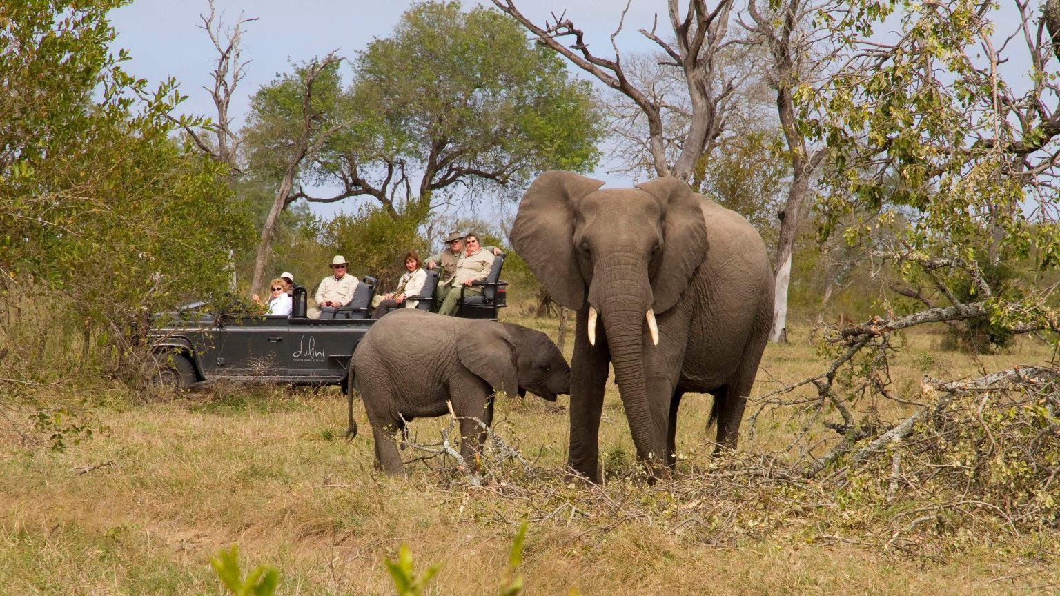 Dulini River Lodge, elephant
