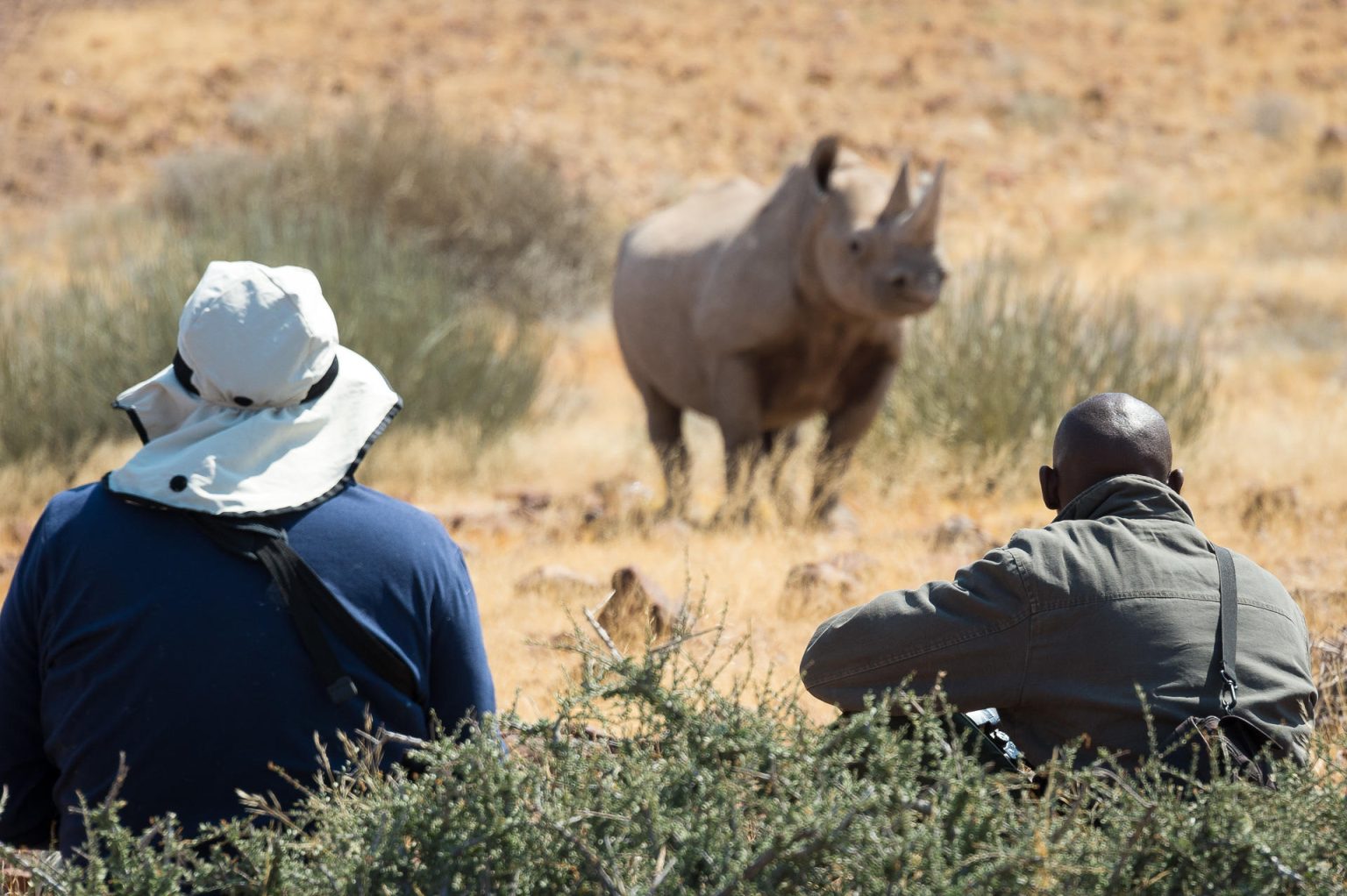 Wilderness Desert Rhino Camp, rhino