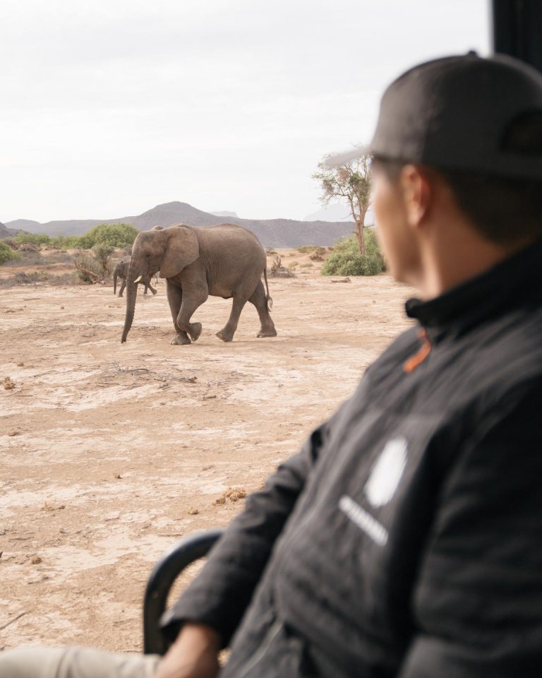 Elephant, Wilderness Damaraland Camp
