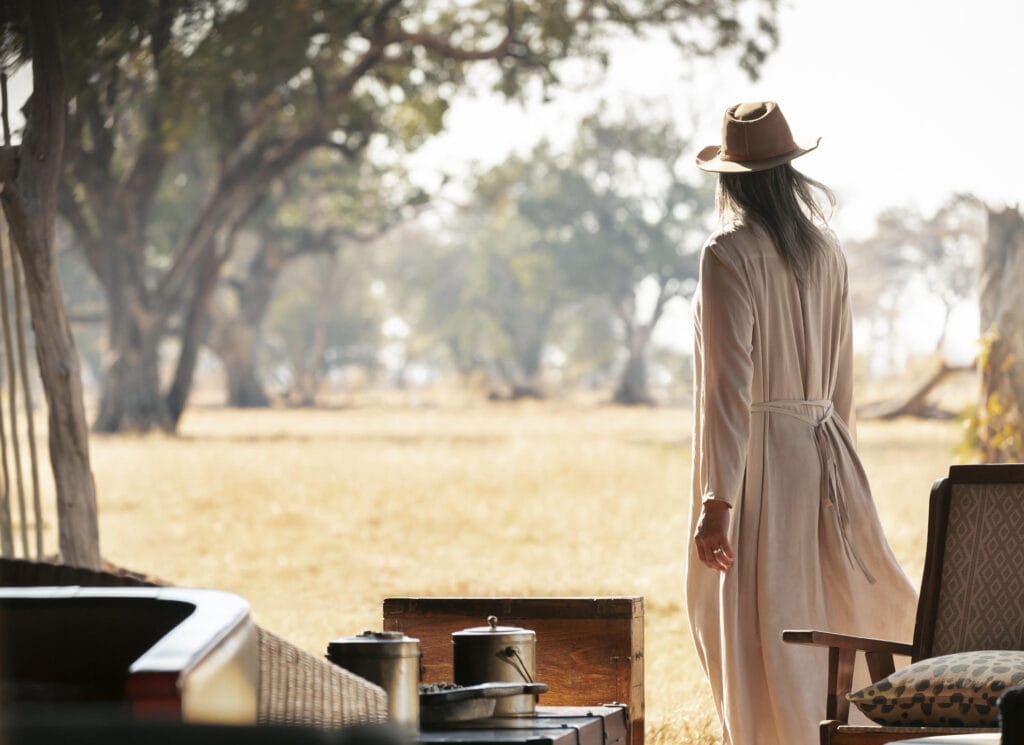 Davison's Camp, Hwange