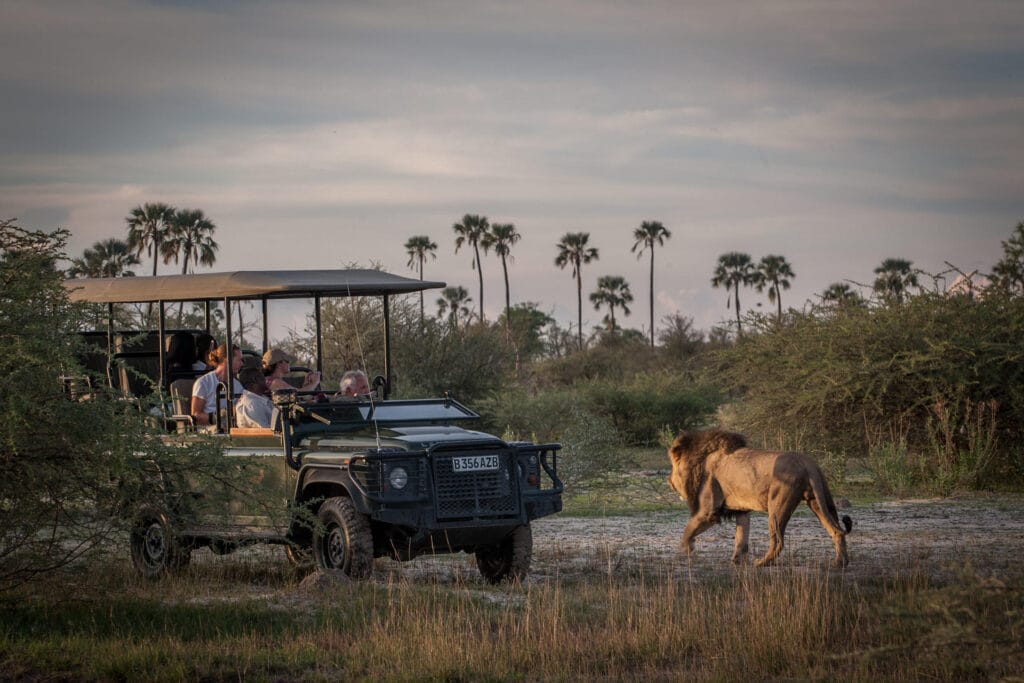 SADC safari rates