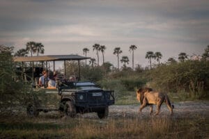 SADC safari rates