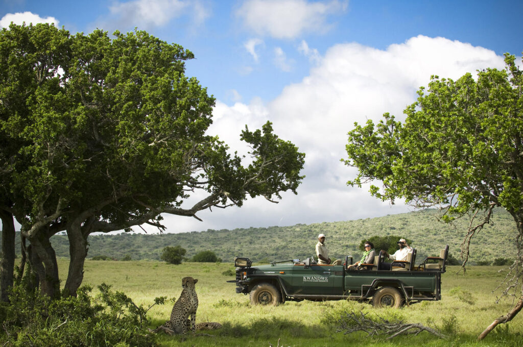 Kwandwe Private Game Reserve