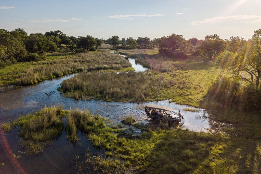 tailor-made safaris