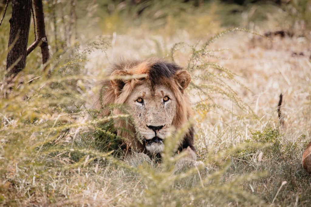 Magashi Camp, Rwanda safari, Akagera National Park
