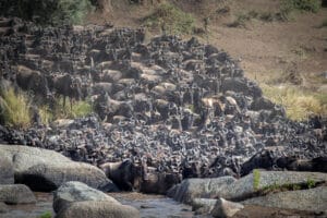 Usawa Camp Serengeti