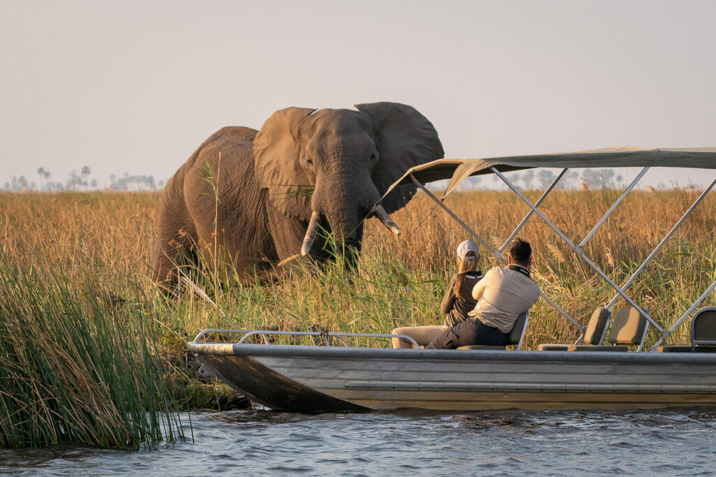 Victoria Falls & Botswana lodge safari
