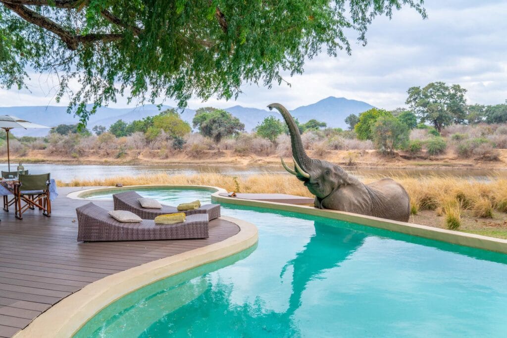 How far in advance should you plan an African safari for the best experience