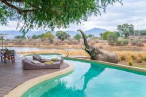 How far in advance should you plan an African safari for the best experience
