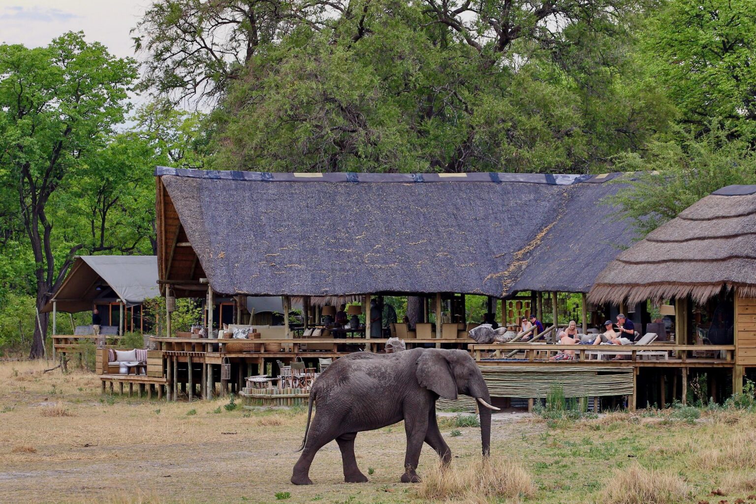 Moremi & Okavango Delta Lodge Safari