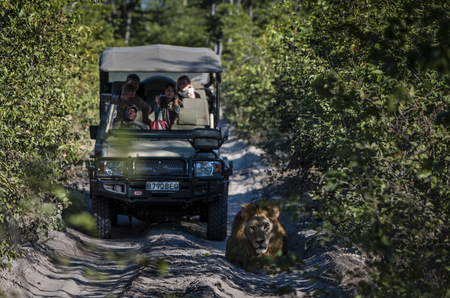 Moremi & Okavango Delta Lodge Safari