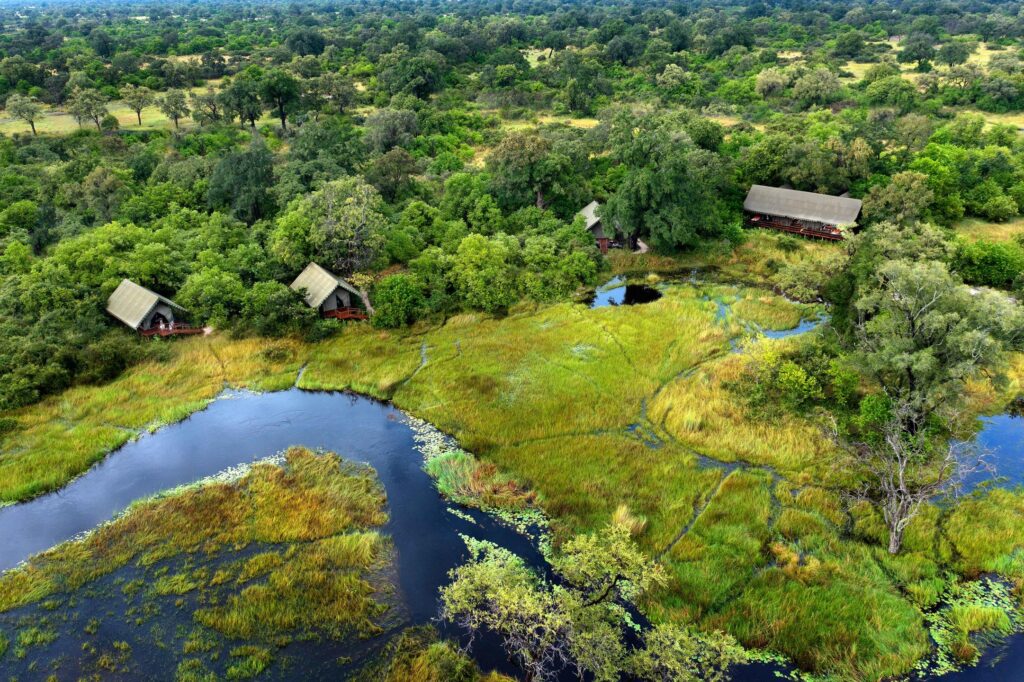 Moremi & Okavango Delta Lodge Safari